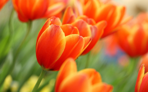 1147956 (a): :2560x1600